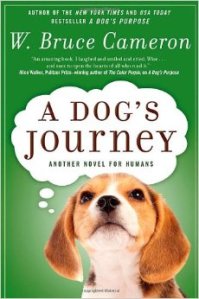 A Dog's Journey